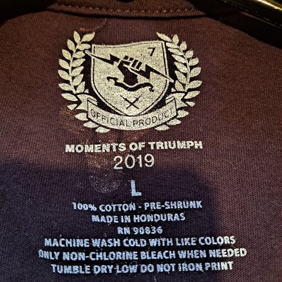 Destiny 2 Moments of Triump 2019 Graphic T Size L - Picture 7 of 7